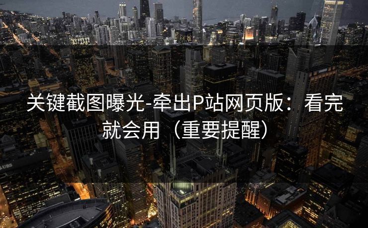 关键截图曝光-牵出P站网页版：看完就会用（重要提醒）