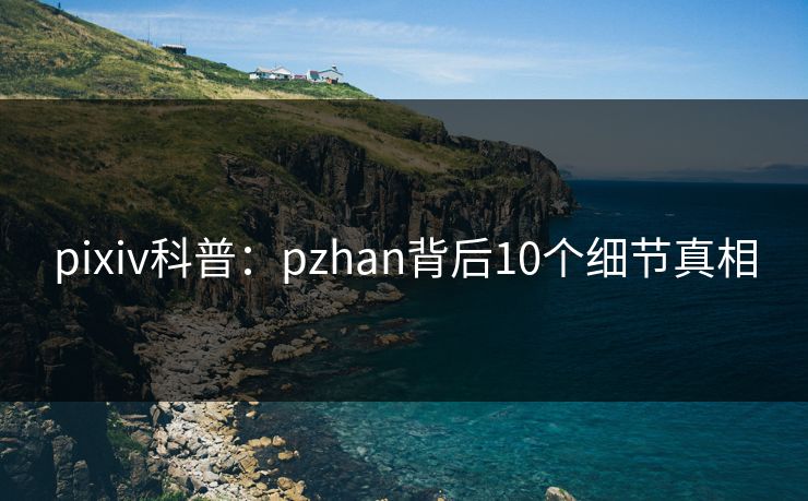 pixiv科普:pzhan背后10个细节真相