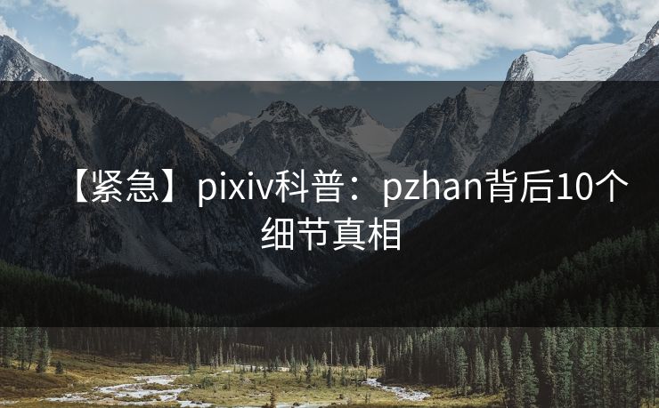 【紧急】pixiv科普：pzhan背后10个细节真相
