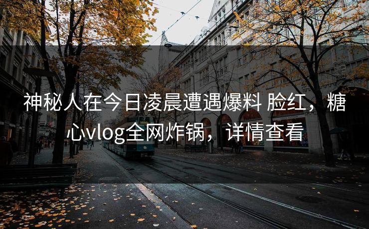 神秘人在今日凌晨遭遇爆料 脸红,糖心vlog全网炸锅,详情查看