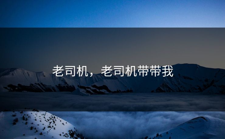 老司机,老司机带带我