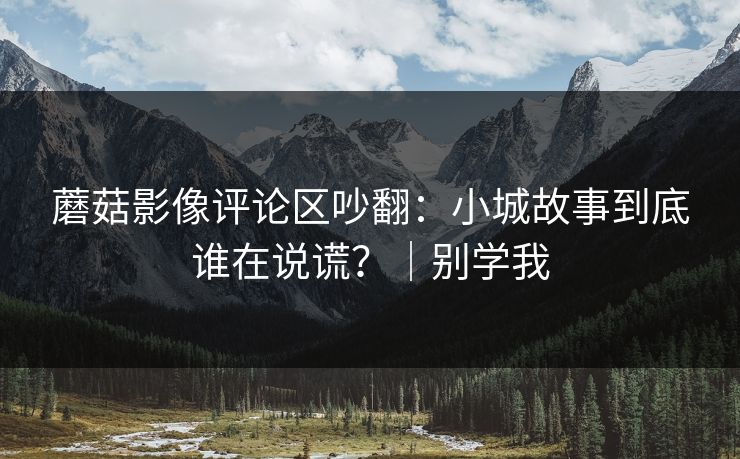 蘑菇影像评论区吵翻：小城故事到底谁在说谎？｜别学我